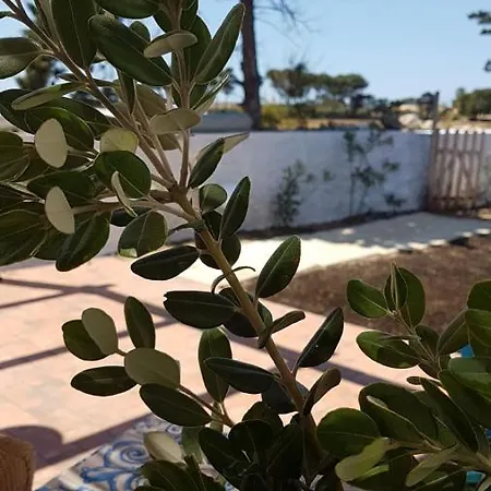 Semesterbostad Casa Paola